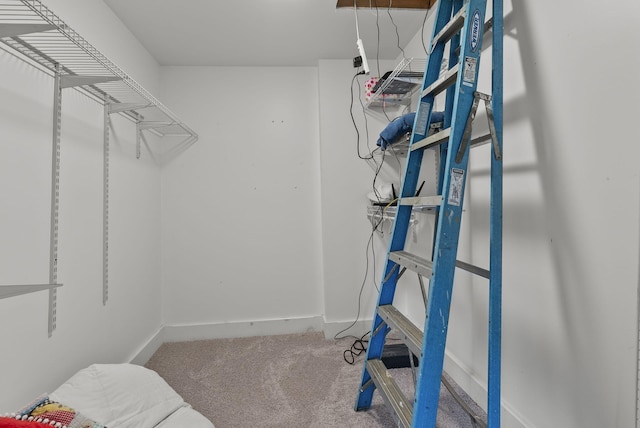 4111 Stanford Rd, Danville, KY 40422 - walk in closet with carpet floors