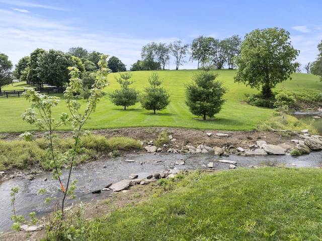 4111 Stanford Rd, Danville, KY 40422 - view of yard