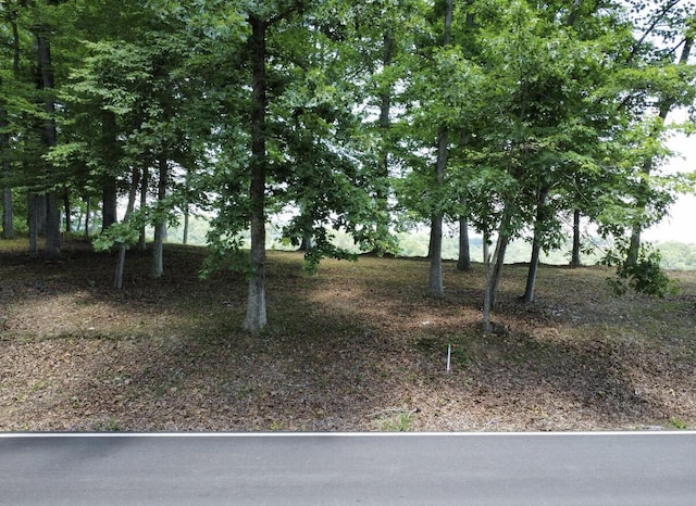 192 Lees Ford Dock Rd, Nancy, KY 42544