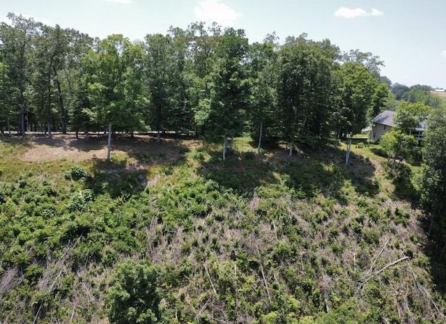192 Lees Ford Dock Rd, Nancy, KY 42544