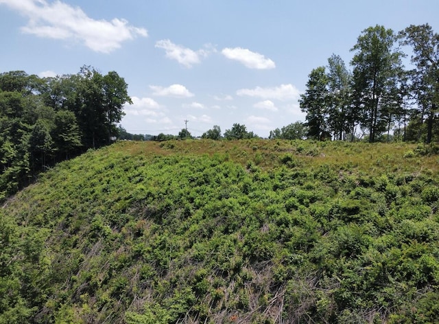 192 Lees Ford Dock Rd, Nancy, KY 42544