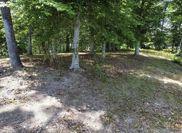 192 Lees Ford Dock Rd, Nancy, KY 42544