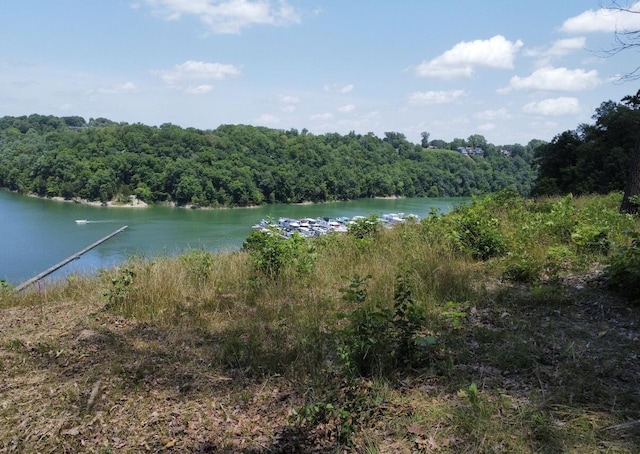 192 Lees Ford Dock Rd, Nancy, KY 42544
