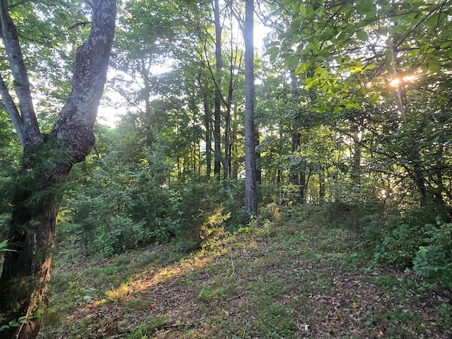 12/13 Meece Ave, Nancy, KY 42544