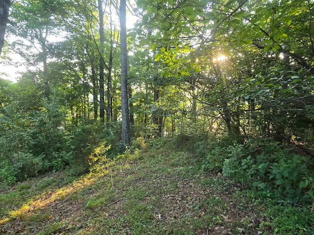 12/13 Meece Ave, Nancy, KY 42544