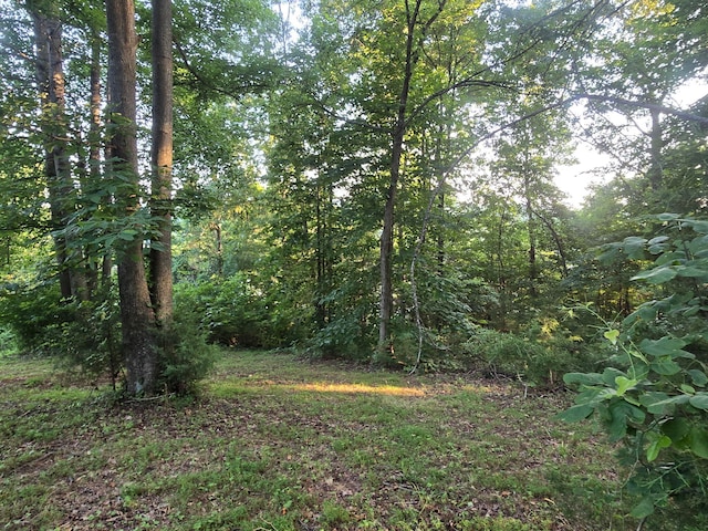 12/13 Meece Ave, Nancy, KY 42544
