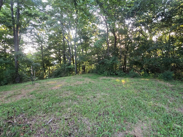 12/13 Meece Ave, Nancy, KY 42544