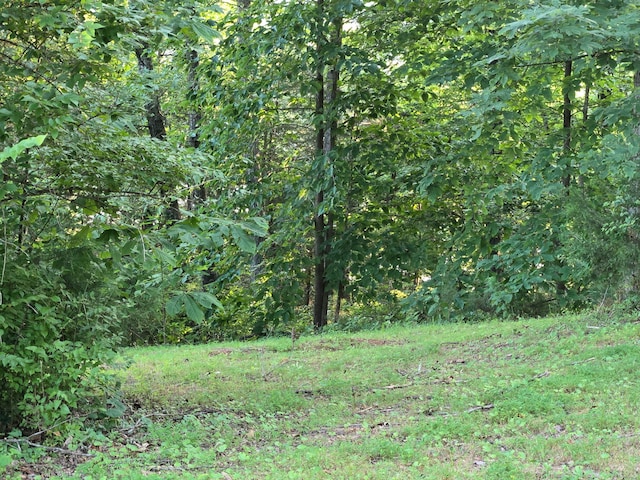 12/13 Meece Ave, Nancy, KY 42544