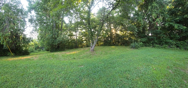 12/13 Meece Ave, Nancy, KY 42544