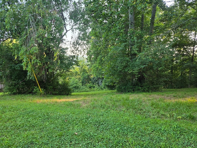 12/13 Meece Ave, Nancy, KY 42544