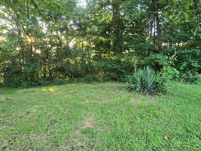 12/13 Meece Ave, Nancy, KY 42544