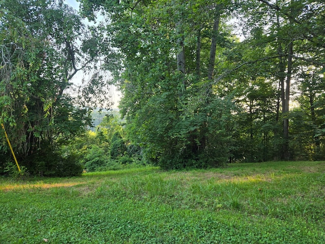 12/13 Meece Ave, Nancy, KY 42544