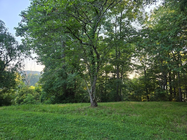 12/13 Meece Ave, Nancy, KY 42544