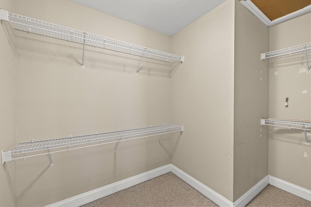 263 Hunter Ridge Dr, Lawrenceburg, KY 40342 - walk in closet featuring carpet floors