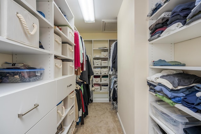 4129 Amberwood Ct, Lexington, KY 40513 - walk in closet featuring light carpet and attic access