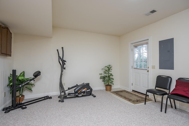 4129 Amberwood Ct, Lexington, KY 40513 - workout room with electric panel and carpet flooring