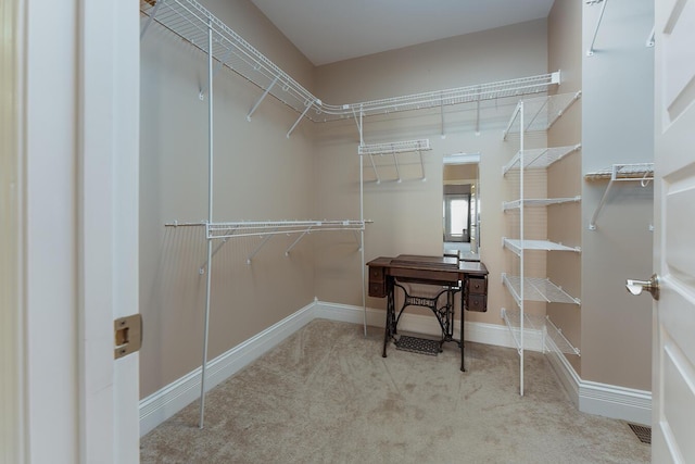 168 Master Ct, Hustonville, KY 40437 - walk in closet with carpet