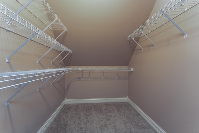 168 Master Ct, Hustonville, KY 40437 - spacious closet with carpet floors