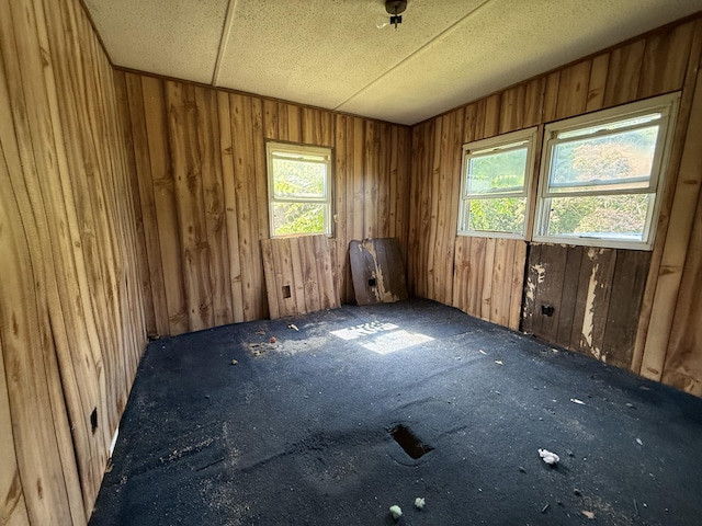 4625 Bardstown Rd, Lawrenceburg, KY 40342 - spare room with carpet, healthy amount of natural light, and wooden walls