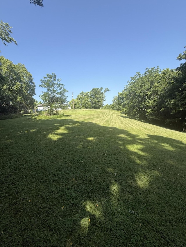 4625 Bardstown Rd, Lawrenceburg, KY 40342 - view of grassy yard