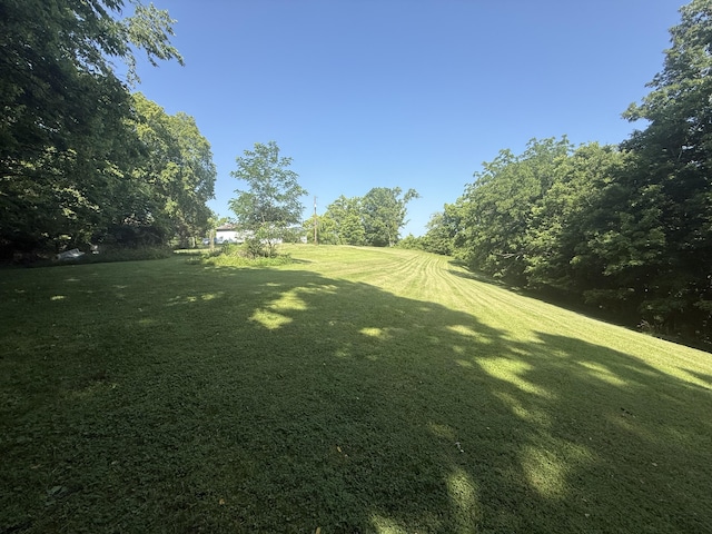 4625 Bardstown Rd, Lawrenceburg, KY 40342 - view of grassy yard