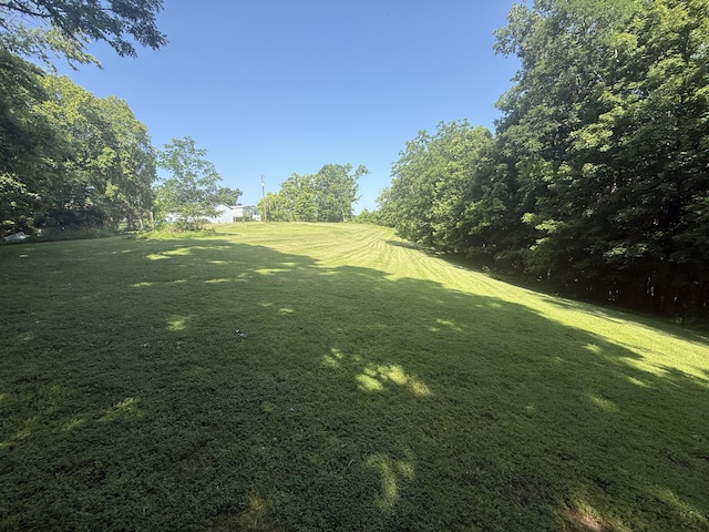 4625 Bardstown Rd, Lawrenceburg, KY 40342 - view of green lawn