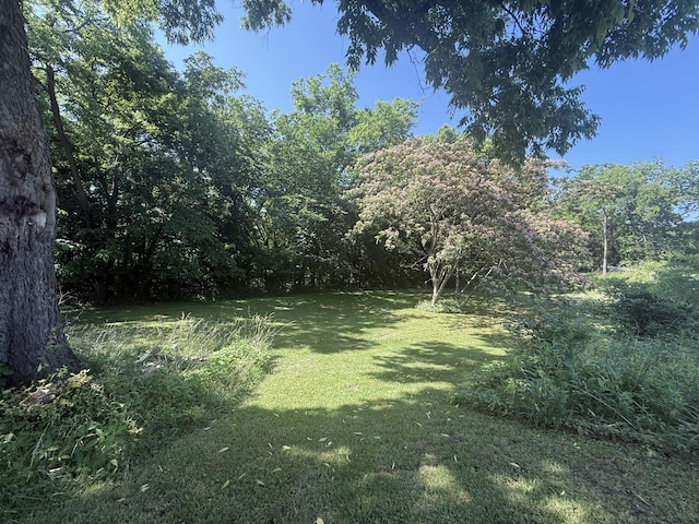 4625 Bardstown Rd, Lawrenceburg, KY 40342 - view of grassy yard with a wooded view