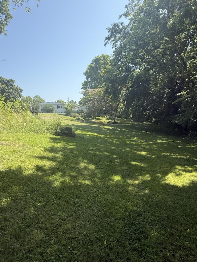 4625 Bardstown Rd, Lawrenceburg, KY 40342 - view of grassy yard