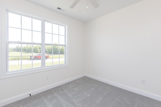 128 Bethany Trce, Lancaster, KY 40444 - spare room with carpet floors, ceiling fan, and plenty of natural light
