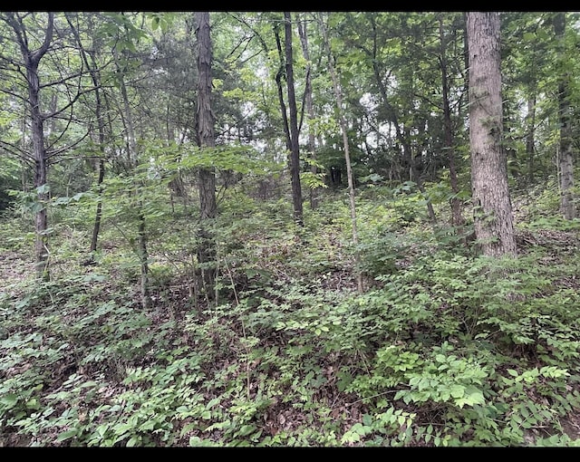 LOTS11 Percy St Unit 13Unit 1, Corinth, KY 41010