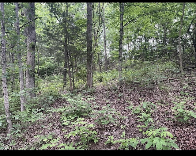 LOTS11 Percy St Unit 13Unit 1, Corinth, KY 41010