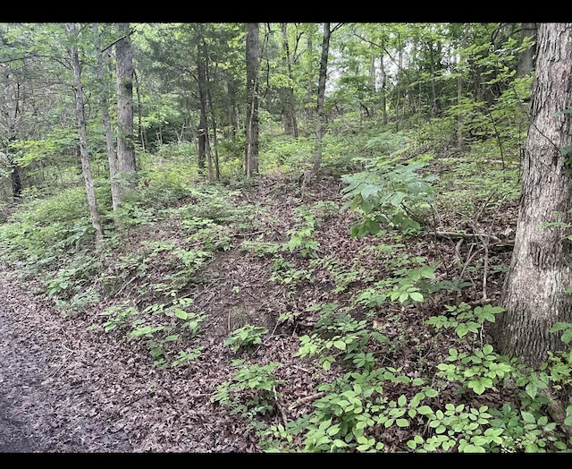 LOTS11 Percy St Unit 13Unit 1, Corinth, KY 41010
