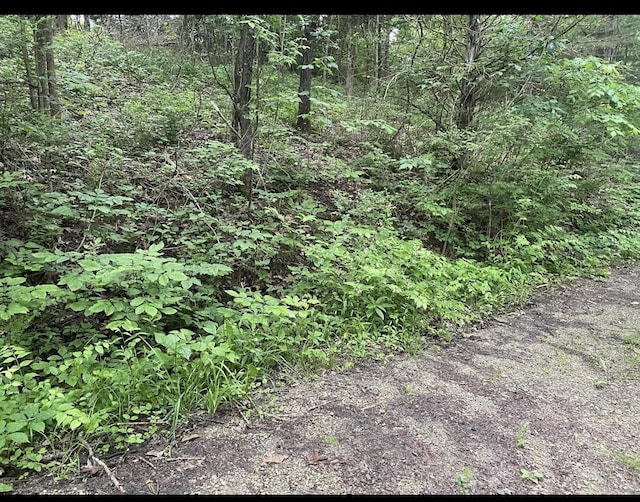 LOTS11 Percy St Unit 13Unit 1, Corinth, KY 41010