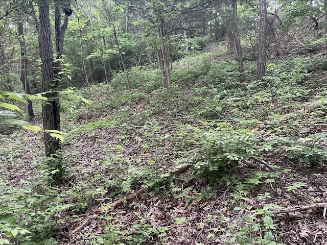 LOTS11 Percy St Unit 13Unit 1, Corinth, KY 41010