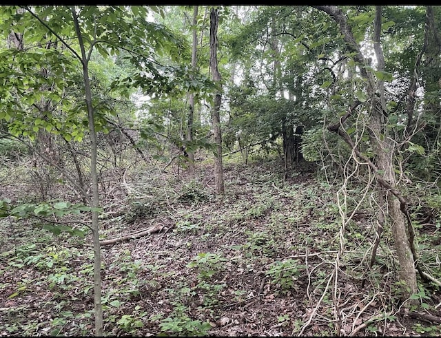 LOTS11 Percy St Unit 13Unit 1, Corinth, KY 41010