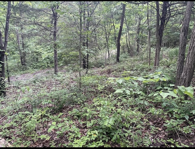 LOTS11 Percy St Unit 13Unit 1, Corinth, KY 41010