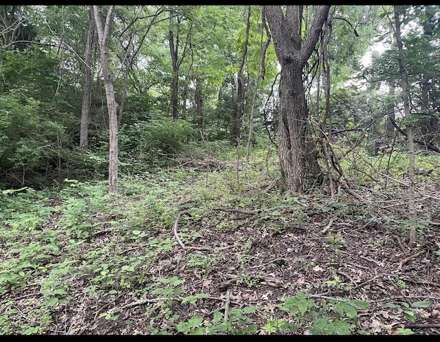 LOTS11 Percy St Unit 13Unit 1, Corinth, KY 41010