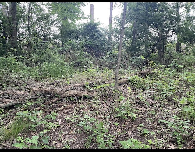 LOTS11 Percy St Unit 13Unit 1, Corinth, KY 41010