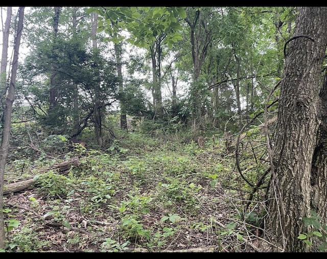 LOTS11 Percy St Unit 13Unit 1, Corinth, KY 41010