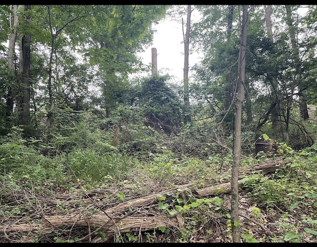 LOTS11 Percy St Unit 13Unit 1, Corinth, KY 41010