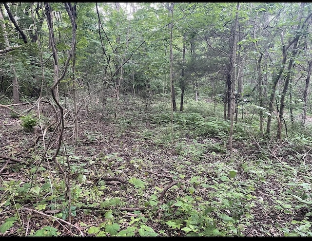 LOTS11 Percy St Unit 13Unit 1, Corinth, KY 41010