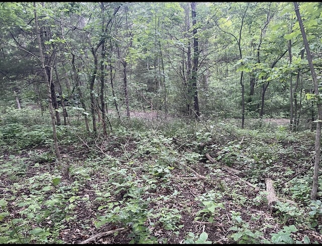 LOTS11 Percy St Unit 13Unit 1, Corinth, KY 41010