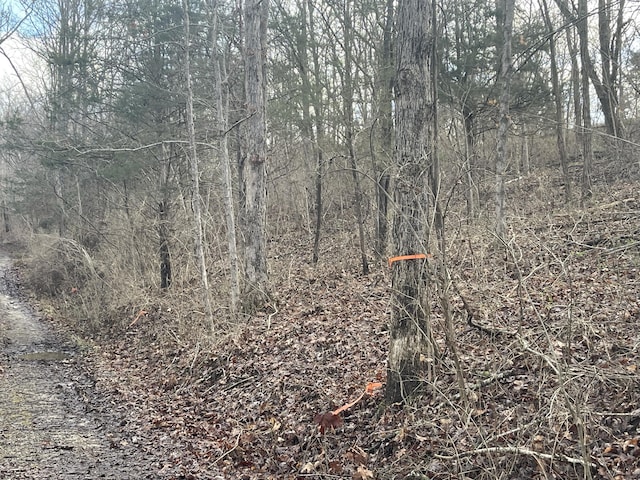 LOTS11 Percy St Unit 13Unit 1, Corinth, KY 41010