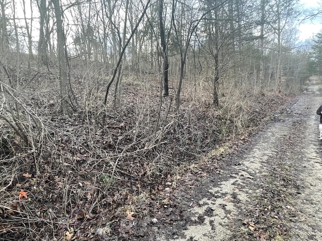 LOTS11 Percy St Unit 13Unit 1, Corinth, KY 41010