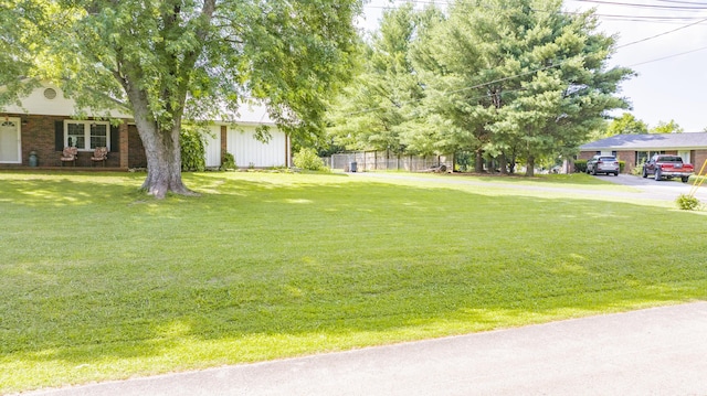 202 Willa Dr, Monticello, KY 42633 - view of yard