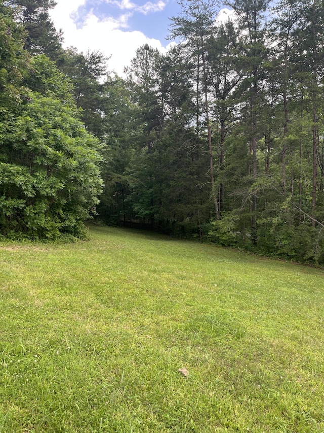 1496 Conrad Cemetary Rd, Somerset, KY 42503 - view of grassy yard with a forest view