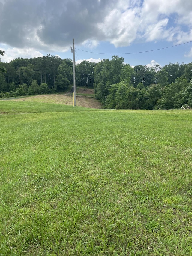 1496 Conrad Cemetary Rd, Somerset, KY 42503 - view of grassy yard featuring a rural view