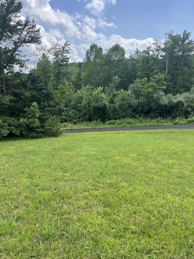 1496 Conrad Cemetary Rd, Somerset, KY 42503 - view of grassy yard