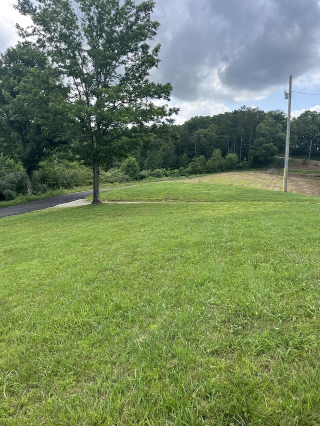 1496 Conrad Cemetary Rd, Somerset, KY 42503 - view of grassy yard