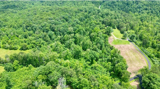 1496 Conrad Cemetary Rd, Somerset, KY 42503 - drone / aerial view of a forest